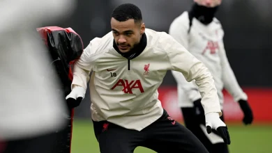 Cody Gakpo Misses Training Ahead of PSG Game