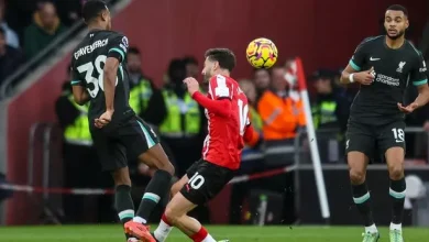 Ex-Liverpool Star Appointed Premier League Assistant Manager 7 Former Liverpool player Adam Lallana named as new Premier League assistant manager