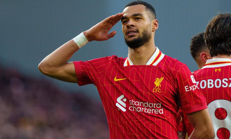 imago1058224191 scaled 1