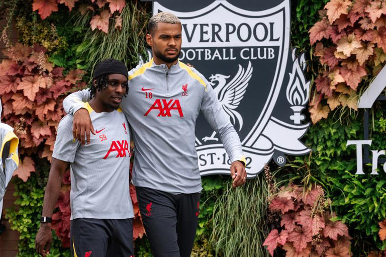 Cody Gakpo Tips Dutch Duo To Boost Liverpool