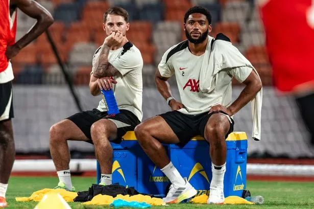 Arne Slot Provides Latest on Alexis Mac Allister and Joe Gomez 1 Arne Slot Provides Latest on Alexis Mac Allister and Joe Gomez